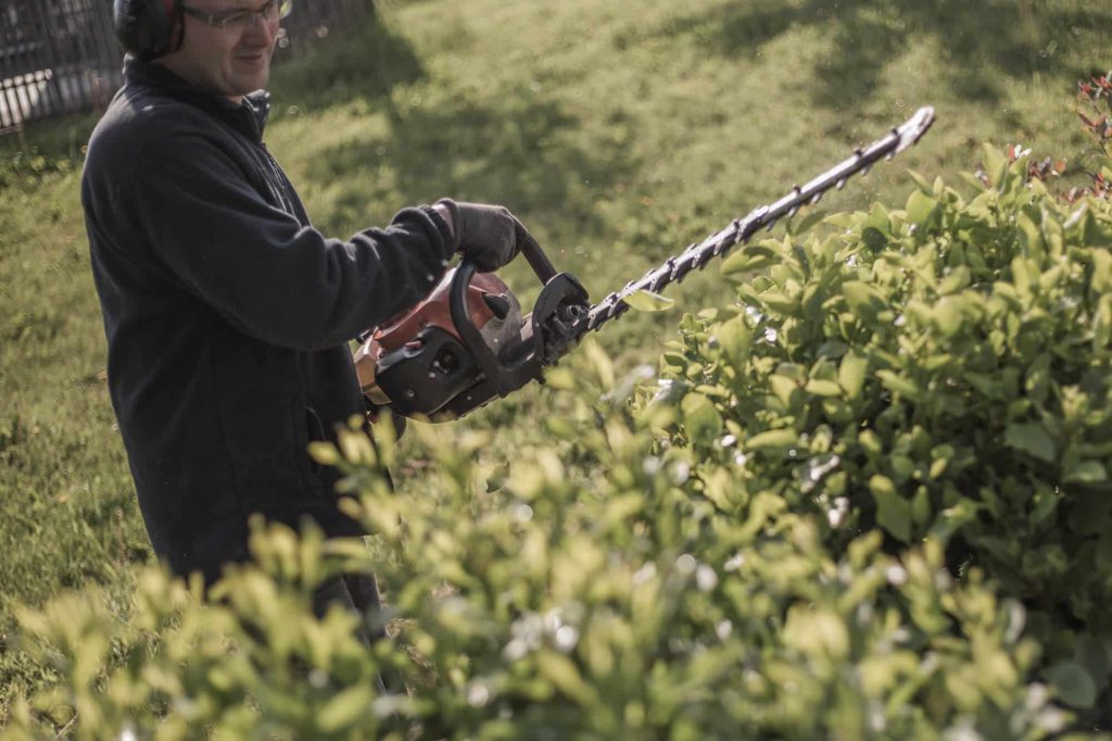 taille haie