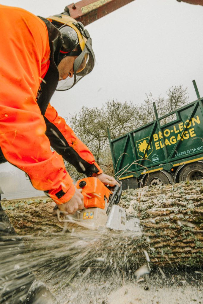 Employé de Bro Léon élagage entrain de tronçonner un arbre à terre devant un camion Bro Leon élagage