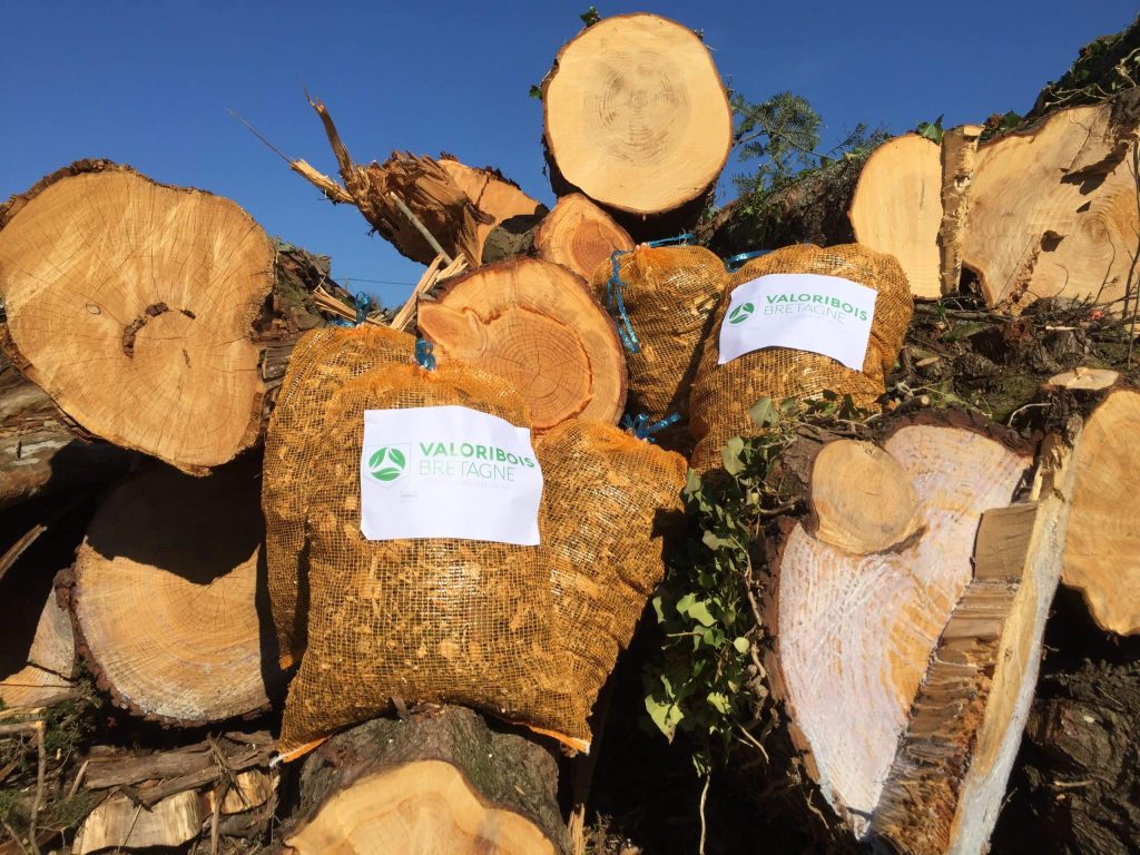 Troncs d'arbre entassé à destination de l'entreprise Valorisbois