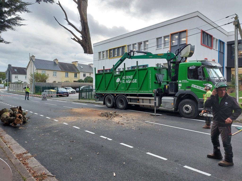 Abattage par démontage à la grue