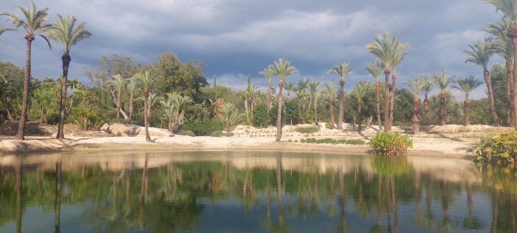 oasis au coeur de la pépinière