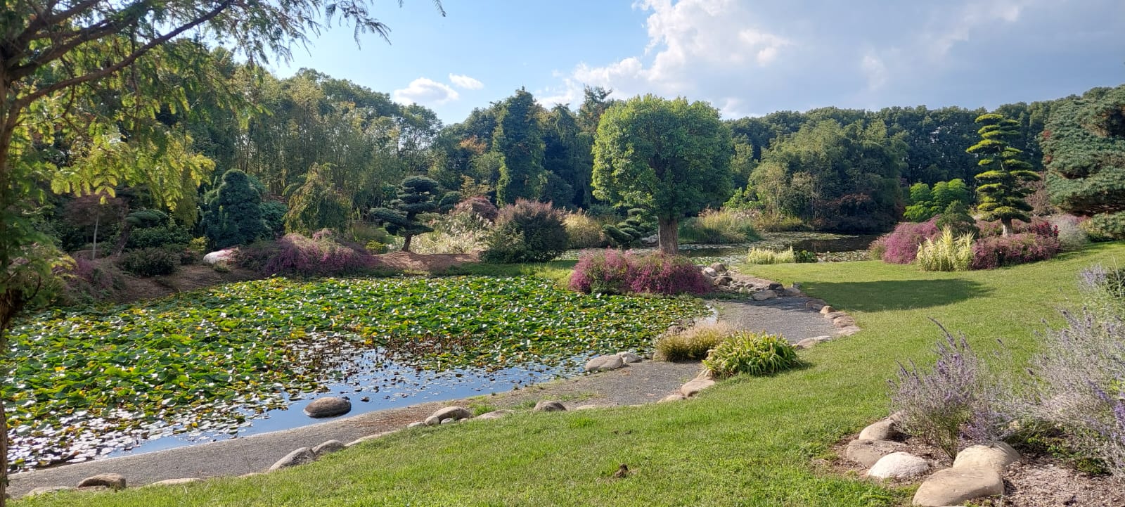 vue sur le parc de la pépinière