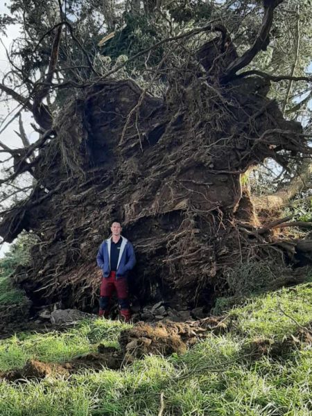 David devant une souche suite à la tempête Ciaran