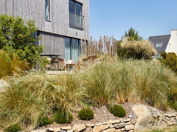 massif de graminées devant maison moderne avec muret en pierre naturelle