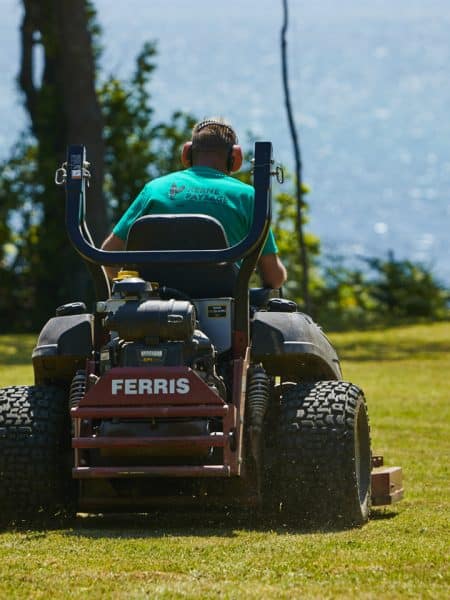 tondeuse ferris autoportée en tonte mulching