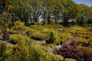 zone container de la pépinière