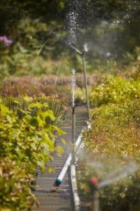 circuit d'arrosage d'eau dans la pépinière