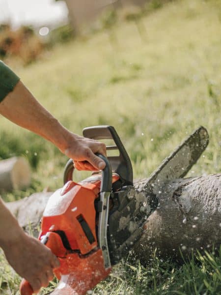 tronçonneuse en action