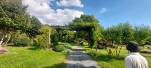 Visite de la pépinière avec paolo