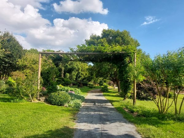 Visite de la pépinière avec paolo