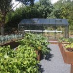 carré potager en corten avec une serre