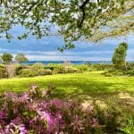 Massif d'azalée avec vue mer et gazon tondu à beg meil