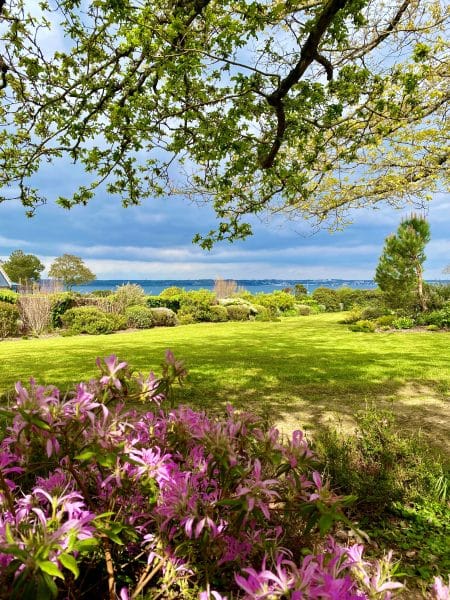 Massif d'azalée avec vue mer et gazon tondu à beg meil
