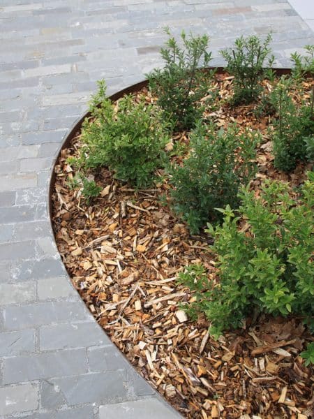 massif intégré dans une allée en kota avec copeaux