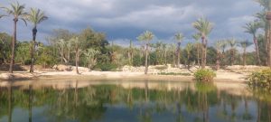 oasis au coeur de la pépinière