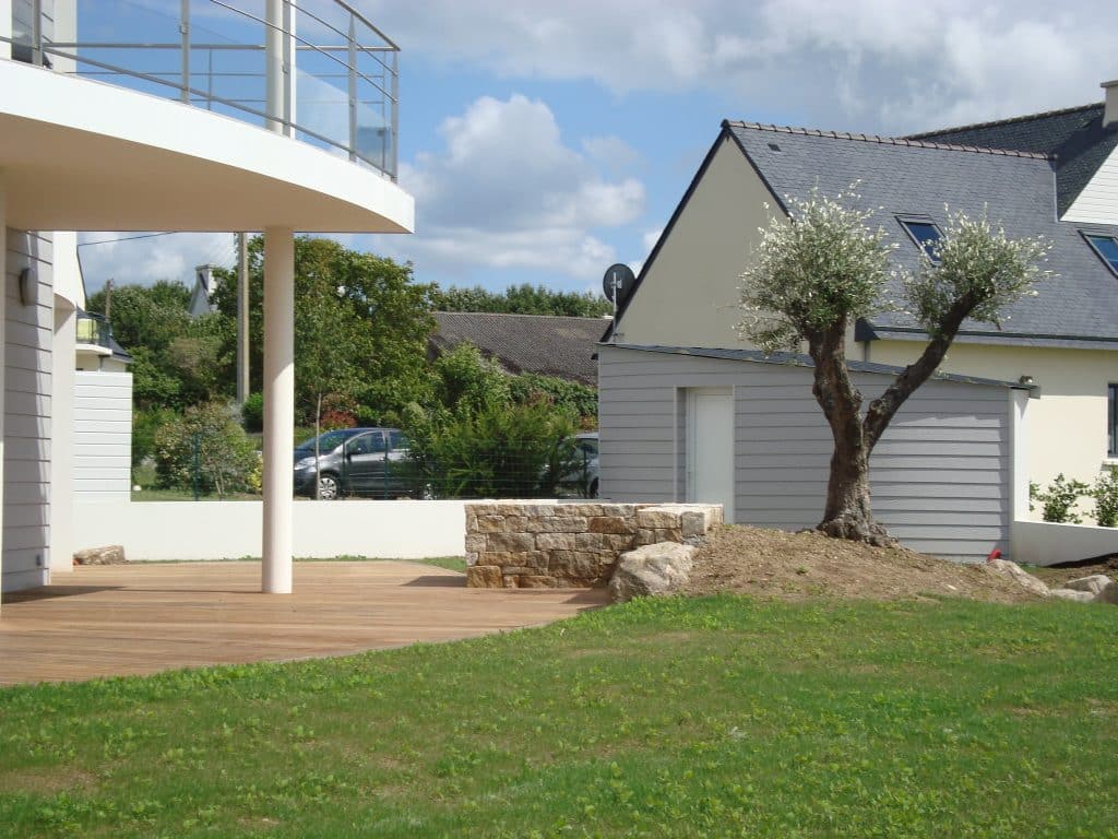 olivier devant muret en pierres naturelles taillées