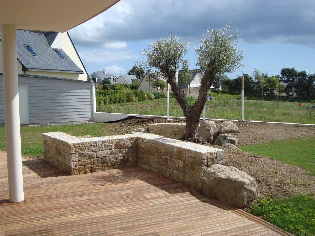 olivier planté dans un massif de roche devant un muret en pierres naturelles taillées
