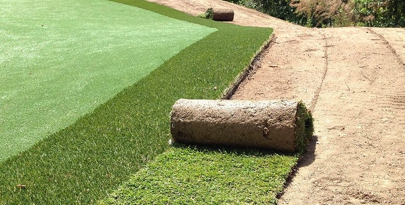 pose de gazon de placage dans un jardin kerne paysage