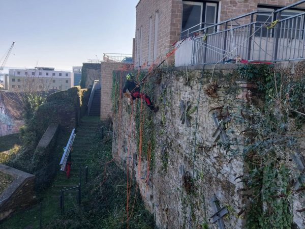 technicien en rappel sur mur pour enlèvement de la végétation