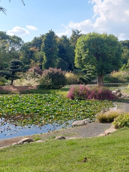 vue sur le parc de la pépinière